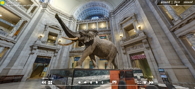 Smithsonian National Museum of Natural History in 360 Degrees Tour