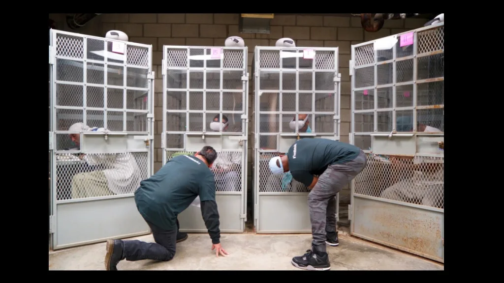 Creative Acts Brings VR to Prisons